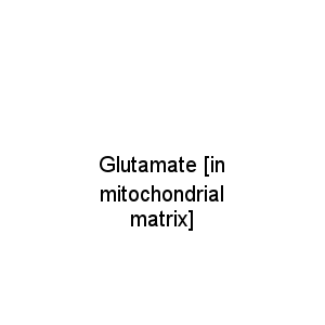 Glutamate [in mitochondrial matrix]